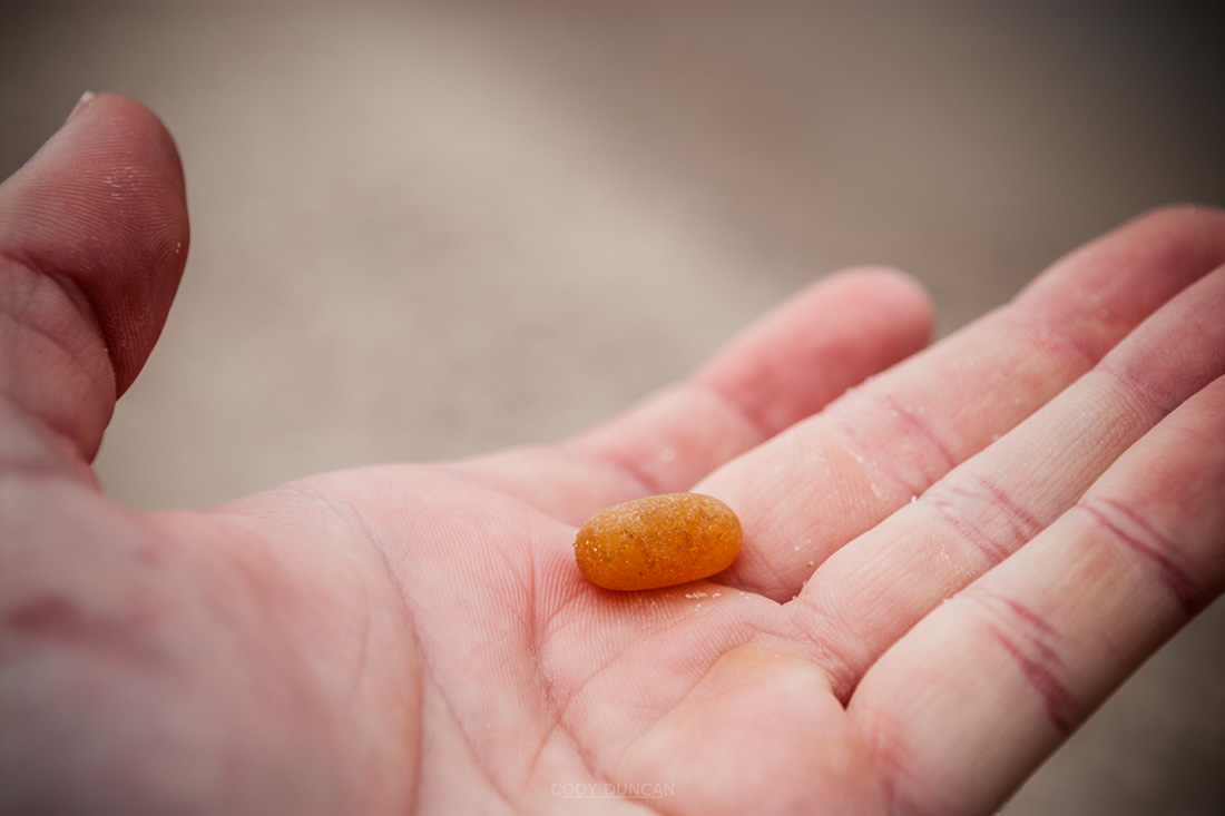 Amber? Nope! Just an orange stone, Curonian Spit, Lithuania