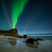 Northern Lights fill sky over Myrland beach, Flakstadoy, Lofoten Islands, Norway