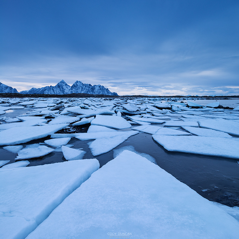 Frozen sea ice along winter coastline, near Nedredal, Vestvågøy, Lofoten Islands, Norway