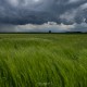 Spring storm over farm field, Opole voivodship, Silesia, Poland