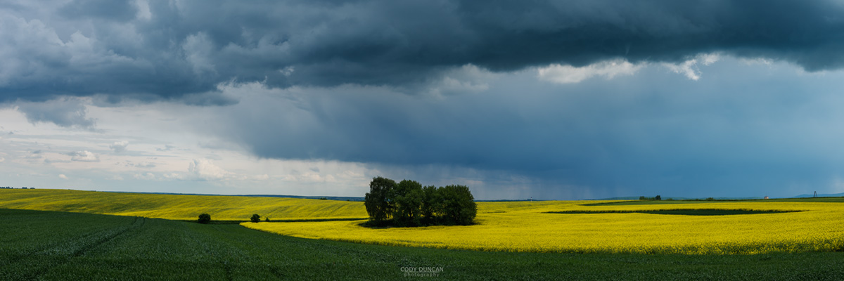 Spring thunderstom over Rapeseed field, Prudnik County, Opole Voivodship, Silesia, Poland
